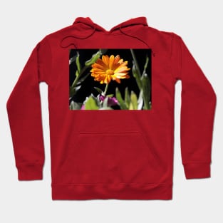 SUNFLOWER Hoodie